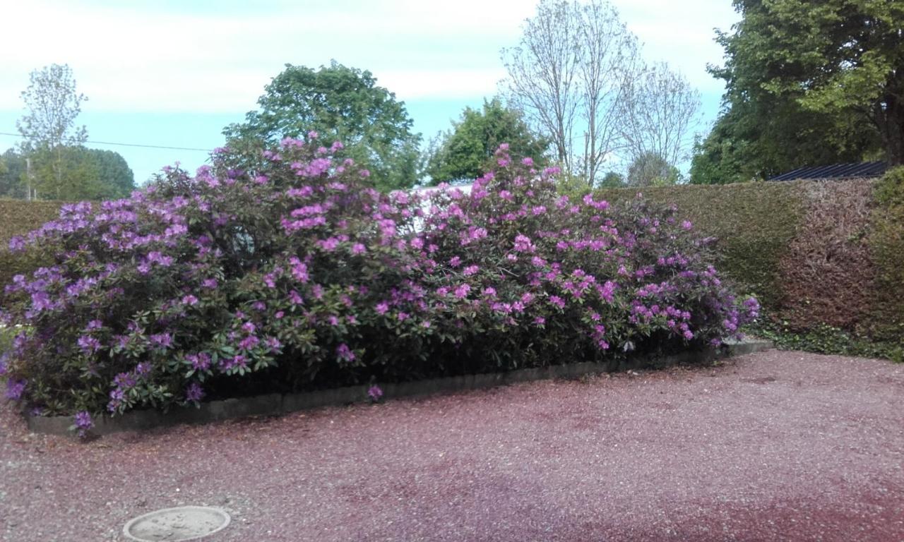 IzéChez Lili公寓 外观 照片